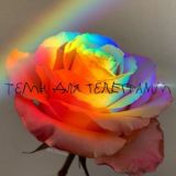 🌈⃤♡⃤🦋⃤𝕿𝖊𝖒𝖎 𝖉𝖑𝖞𝖆 𝖙𝖊𝖑𝖊𝖌𝖗𝖆𝖒𝖒𝖆🦋⃤♡⃤🌈⃤