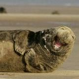 Поржи для души😂