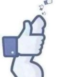 The South Coast Randoms