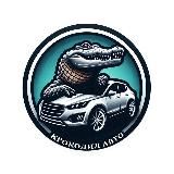 Krokodil_auto🚗
