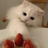 ПОСЛЕДНИЕ НОВОСТИ