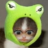 Итс май лайф😮💨