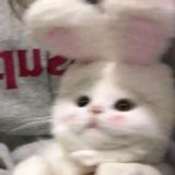 English with you💸✨