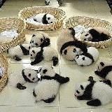 FrienDly FaB♥️🧸