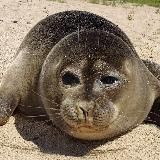 Будни директора зоопарка