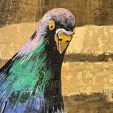 Тентакли набрякли