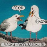 Чаечное орево