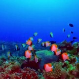 Познавательный журнал