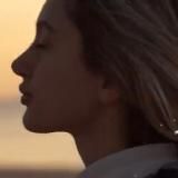 Дневник Шелест