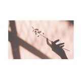 🕊маленькая птичка.