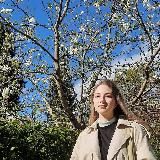 тарелка рисы