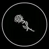 Твой любимый плейлист 🌹