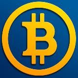 Crypto Investor | TON | BTC