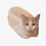 маша и еще что-то