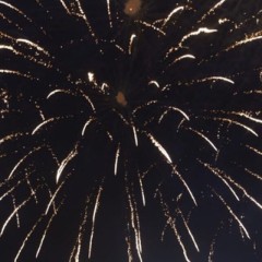 Чат Дарья Дарит