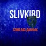 Базы данных, дампы и прочее🇺🇦