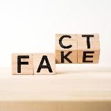 Фейковый патруль