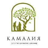 АНО ДРЦ «Камалия»
