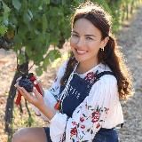 Ирина Богович - дневник винодельши