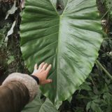 екстаз_напоказ