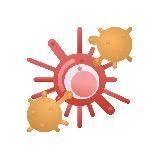 Лечим иммунные расстройства