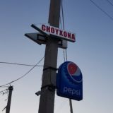 choyxona