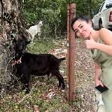 секретики от джул