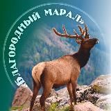 Маральник «Благородный Марал»