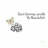 Iymonli Qalb Sohiblari🕋🕋🕋🕋