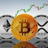 RG-NEW's ️📰📈️💢