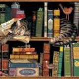 Чтецы и безумцы 📚