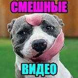 𝓐𝓵𝓲𝓷𝓪 ✨