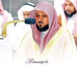 تلاوات د. ماهر المعيقلي