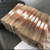 Добрый Олег💸