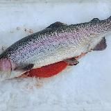 😋 ФОРЕЛЬ ВКУСНОТА СЕВАСТОПОЛЬ