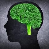 Твоя планета 🌍