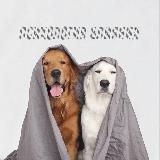 Психология влияния