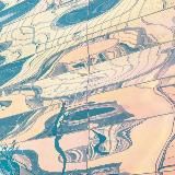 полей цветы лесов деревья