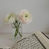 mata’seving КИТАЙ