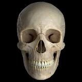 Ординаторская 💀