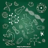 Химбио с Никой 🥰♥️