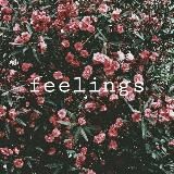 Feelings