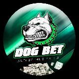 DogBet | Договорные матчи