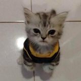 обсуждение🫂🫶🏿