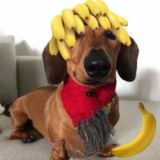 Ответы ОГЭ Дагестан 05 регион