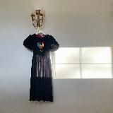 Редкая птица