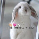 Зайки в норке!!🫶🏼