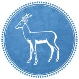 Самара-Новости (дайджест)