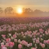 Исламские обои/мотивация