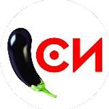 Коворкинг СИ